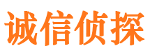 云城市私人调查